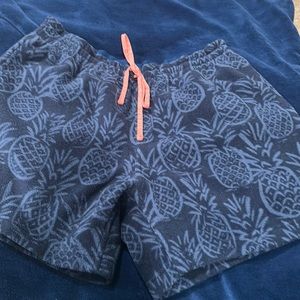 Chubbies Fleece Sweat shorts